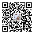 郑州动能科技网站建设和小程序开发在线客服微信